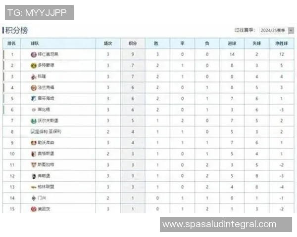 勒沃库森积分榜领先，大胜弗赖堡继续保持德甲前列位置